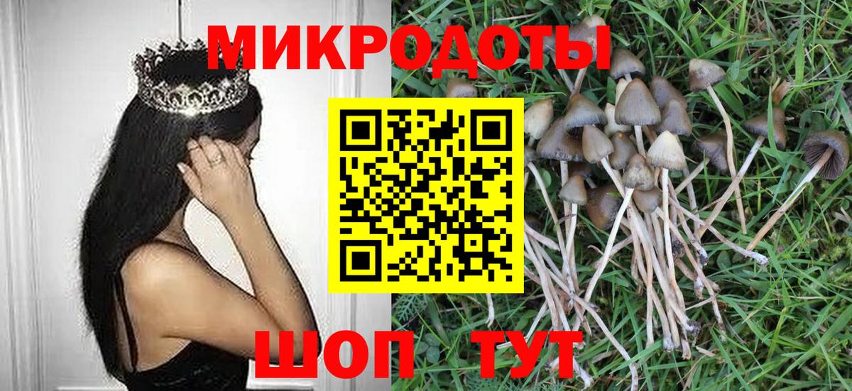 Галлюциногенные грибы GOLDEN TEACHER Каменск-Уральский